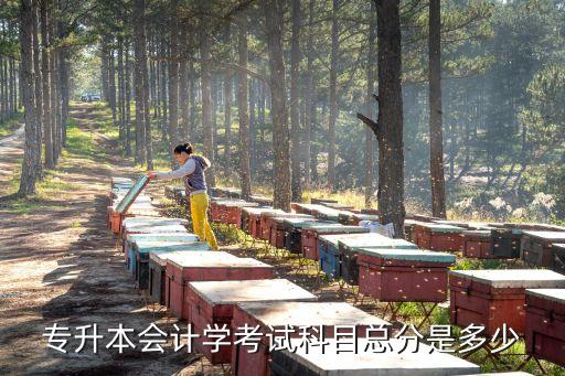 专升本会计学考试科目总分是多少