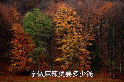学做麻辣拌多少钱，麻辣拌的成本是多少
