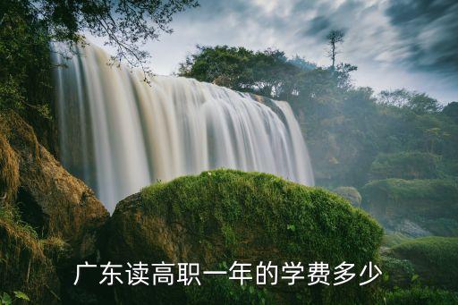 广东读高职一年的学费多少