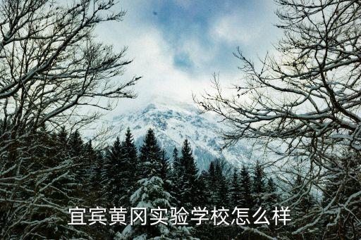 宜宾黄冈幼小学费多少，想去到老家的县城读四川宜宾市宜宾县或者在其它镇上读请问可