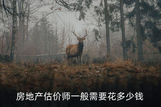 房产估价师报名费用是多少，房地产估价师一般需要花多少钱