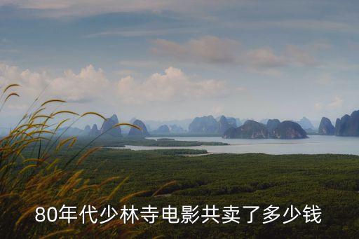 80年代少林寺电影共卖了多少钱