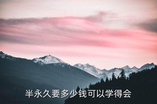 半永久要多少钱可以学得会