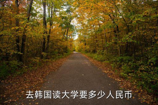 去韩国读大学要多少人民币