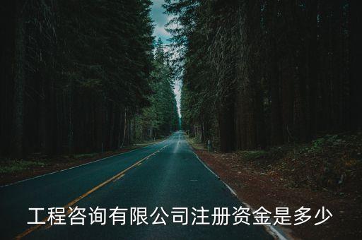 工程咨询有限公司注册资金是多少