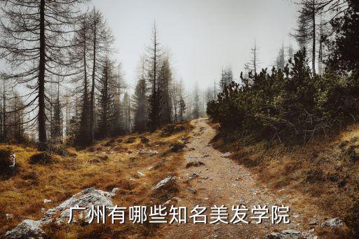 广州有哪些知名美发学院