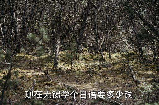 现在无锡学个日语要多少钱