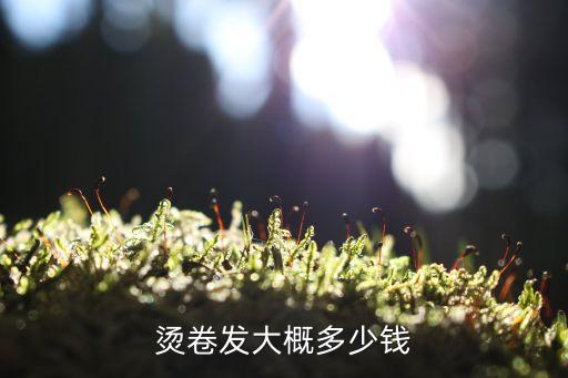 烫卷发大概多少钱