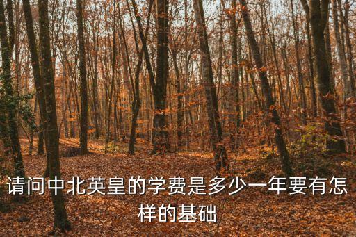 请问中北英皇的学费是多少一年要有怎样的基础