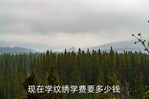 现在学纹绣学费要多少钱