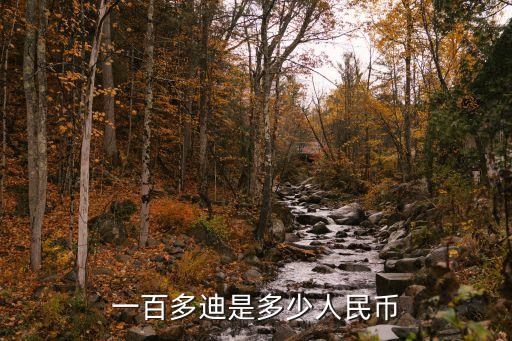 一百多迪是多少人民币