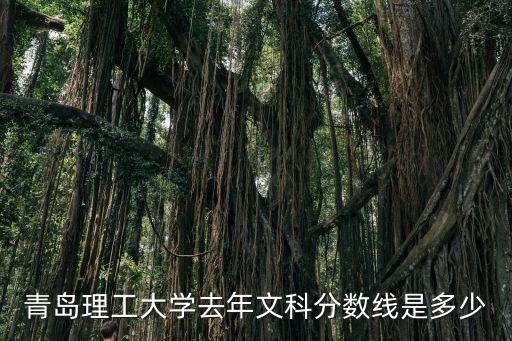 青岛理工分数线是多少，青岛理工大学本科多少分