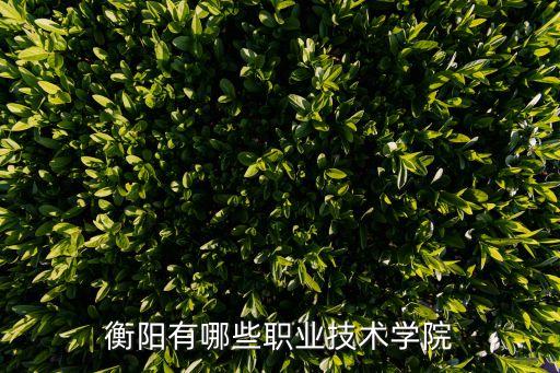 衡阳市有多少所技校，衡阳有那些技校