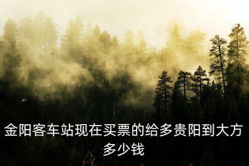 金阳客车站现在买票的给多贵阳到大方多少钱