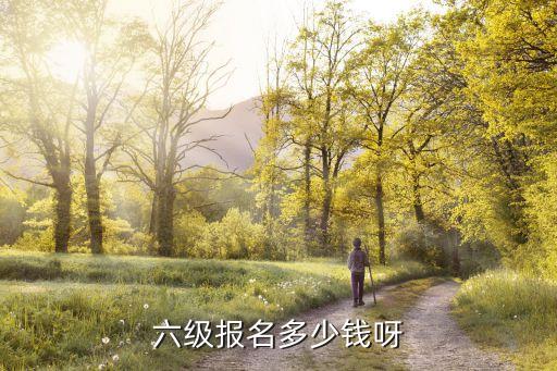 46级报名多少钱河南，六级报名多少钱呀