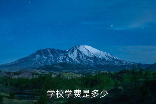 学校学费是多少
