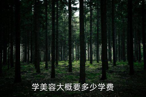 九江市学美容学费多少，学美容的学费大概是多少