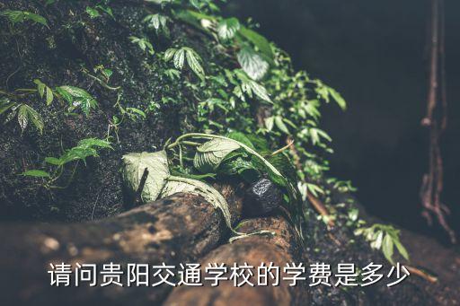 请问贵阳交通学校的学费是多少