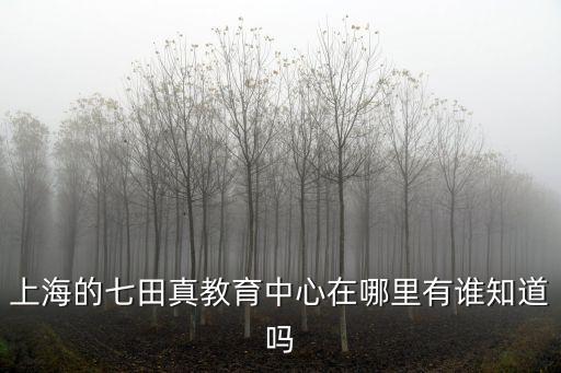 上海的七田真教育中心在哪里有谁知道吗