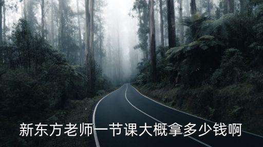 新东方德语教师有多少钱，新东方老师的工资是多少啊
