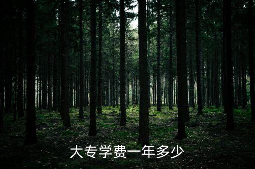 学大专多少学费，大专一般一年学费多少