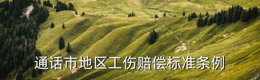 通话市地区工伤赔偿标准条例