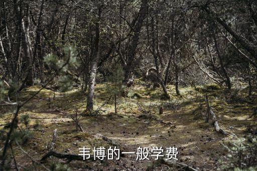 韦博的一般学费