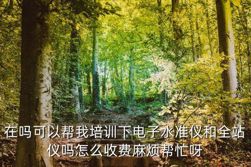 在吗可以帮我培训下电子水准仪和全站仪吗怎么收费麻烦帮忙呀