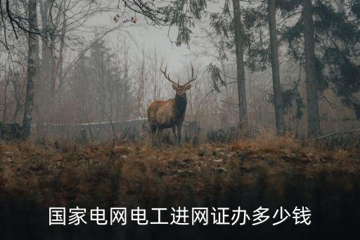 电工进网许可证多少钱，电工入网许可证多钱办理