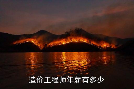 造价师年薪多少钱，造价年薪多少钱造价年薪多少钱知识