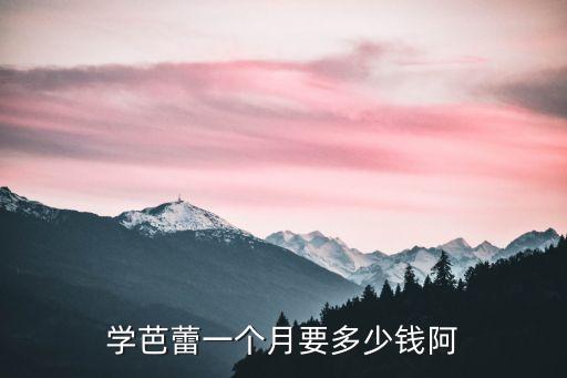 芭蕾舞蹈培训班多少钱，俄罗斯进修芭蕾包括语言班总共2年的费用大概是多少