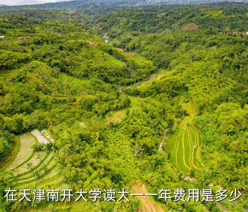 在天津南开大学读大一一年费用是多少