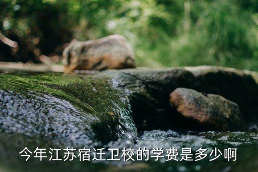 今年江苏宿迁卫校的学费是多少啊