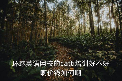 环球英语网校的catti培训好不好啊价钱如何啊