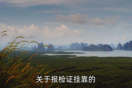 关于报检证挂靠的