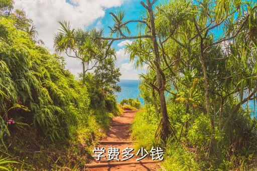 自由鱼学校学费多少钱，想考MEM报名费用大概多少有没有便宜一点的教育培训机构