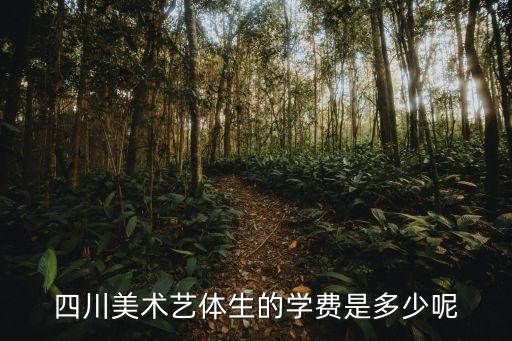 四川学画画学费多少钱，四川美术每学年是怎么收费的