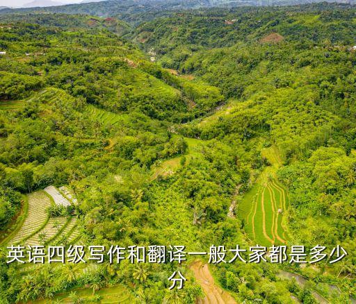 四级翻译一般多少分，英语四级翻译分数一般多少