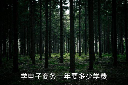 学电子商务一年要多少学费