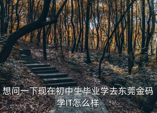 想问一下现在初中生毕业学去东莞金码学IT怎么样