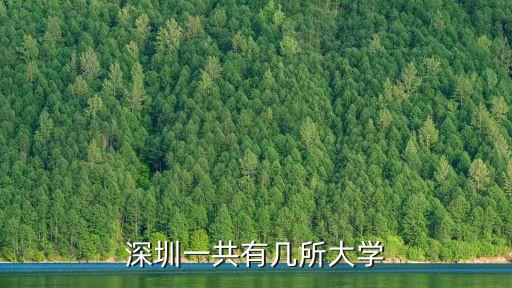 深圳一共有多少所校，深圳有多少所大学