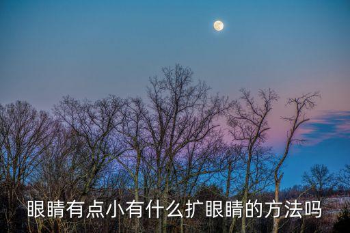 眼睛有点小有什么扩眼睛的方法吗
