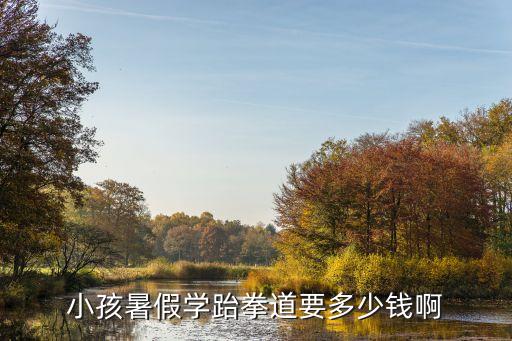 少儿跆拳道费用是多少，小孩暑假学跆拳道要多少钱啊
