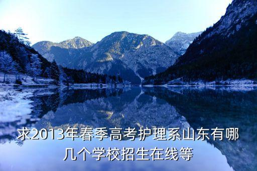 求2013年春季高考护理系山东有哪几个学校招生在线等