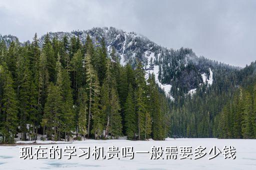 高效阅读 学力机多少钱，小学生读书的好的学习机多少钱一台
