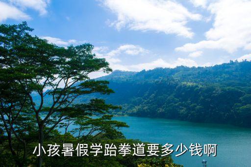 小孩暑假学跆拳道要多少钱啊