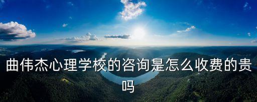 曲伟杰心理学校的咨询是怎么收费的贵吗