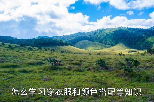 怎么学习穿衣服和颜色搭配等知识