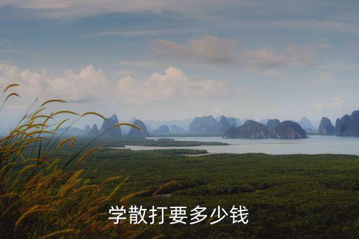 学散打要多少钱
