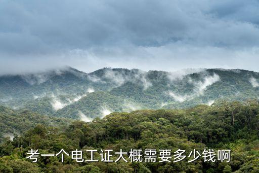 考一个电工证大概需要多少钱啊